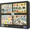 Mushrooms of Florida Box Back