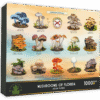 Mushrooms of Florida Box Front