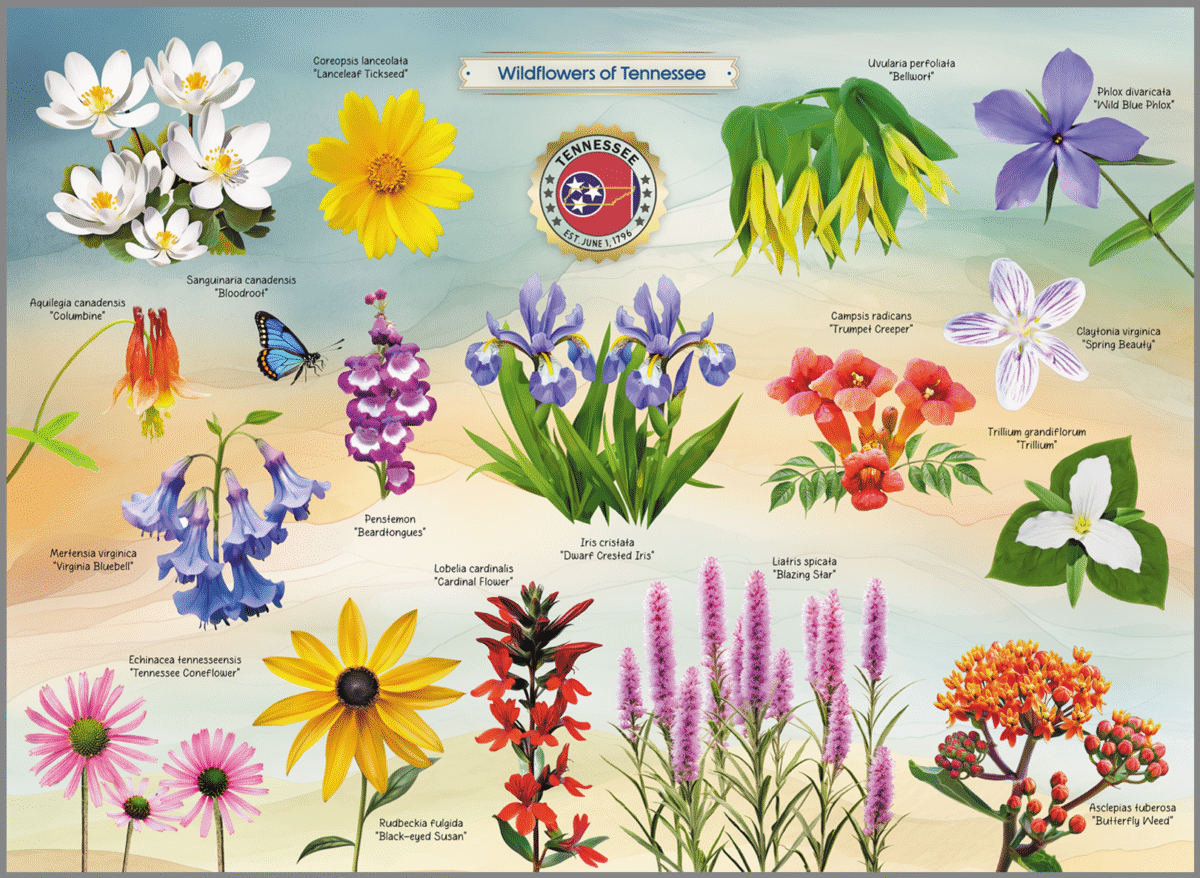 Wildflowers of Tennessee Puzzle Image