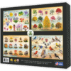 Wildflowers of Tennessee Box Back