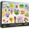 Wildflowers of Tennessee Box Front